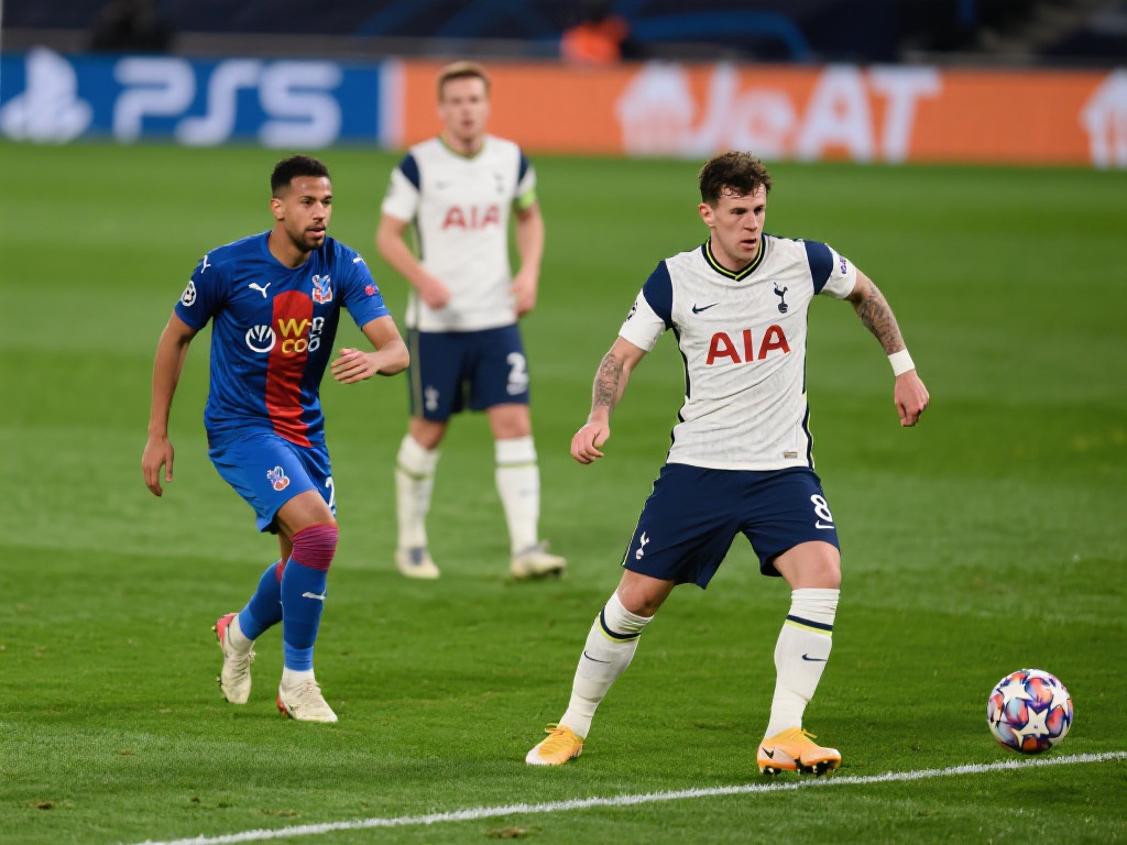 涯的黄金期 涯的黄金期